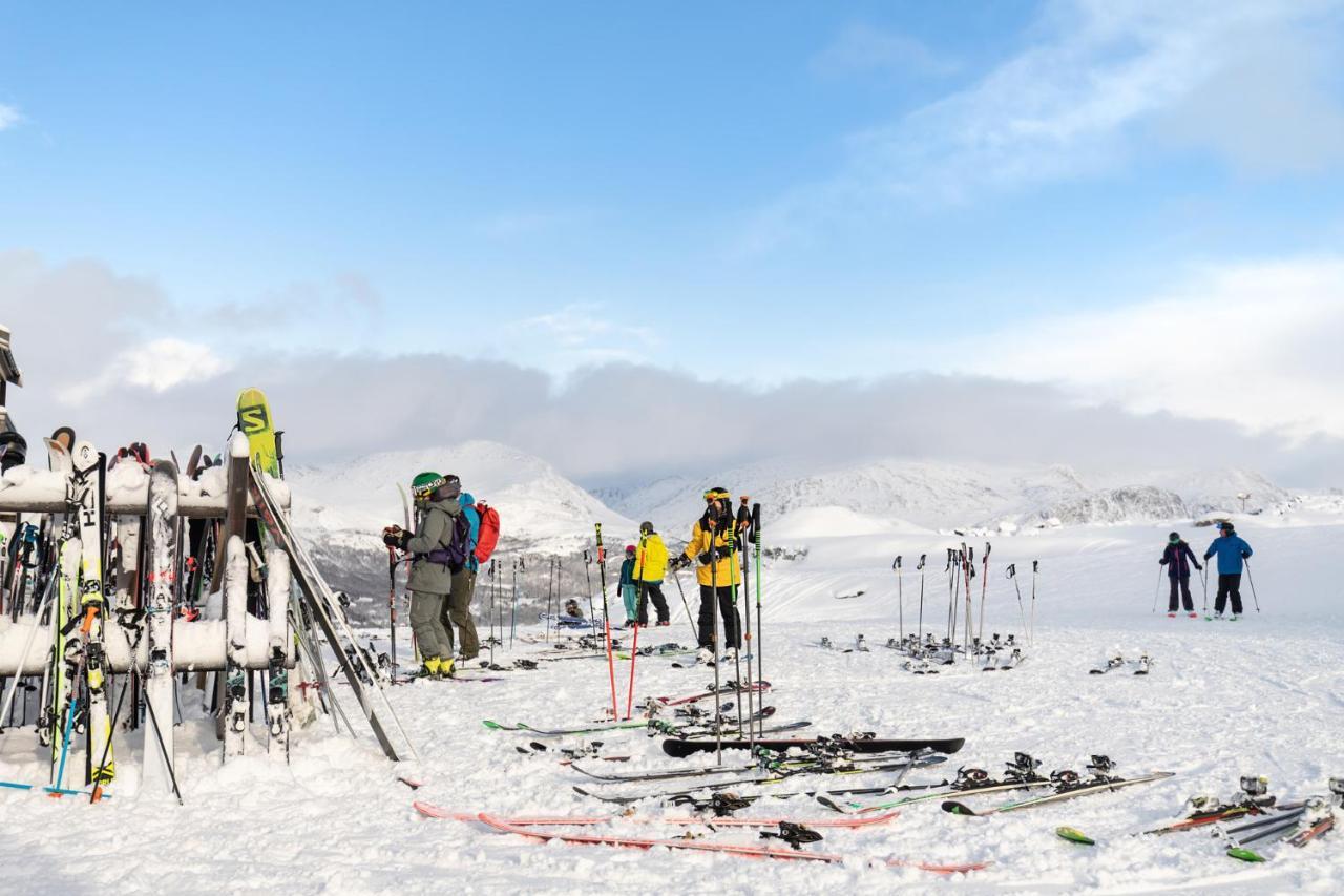 Skigaarden *